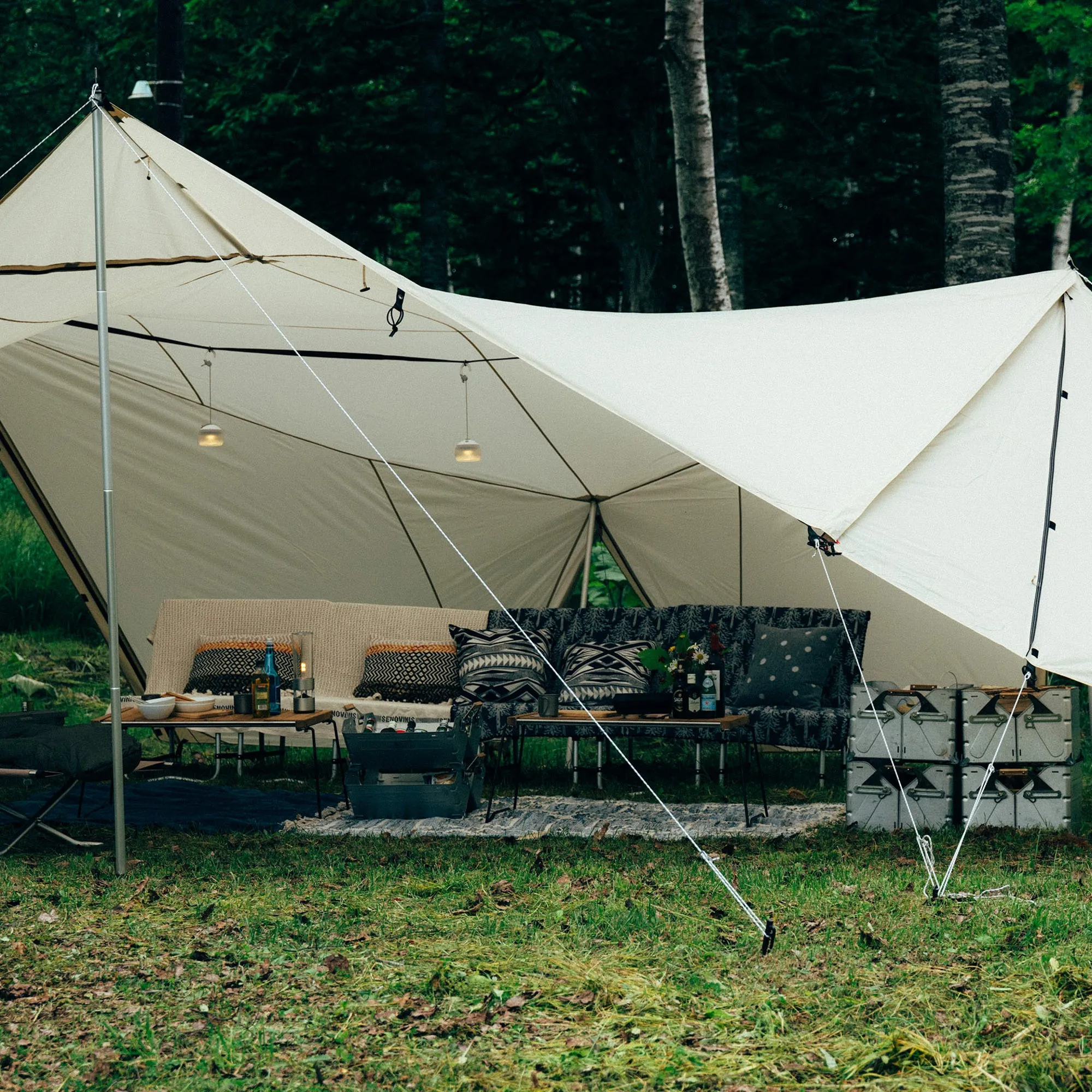 Land Station Ivory