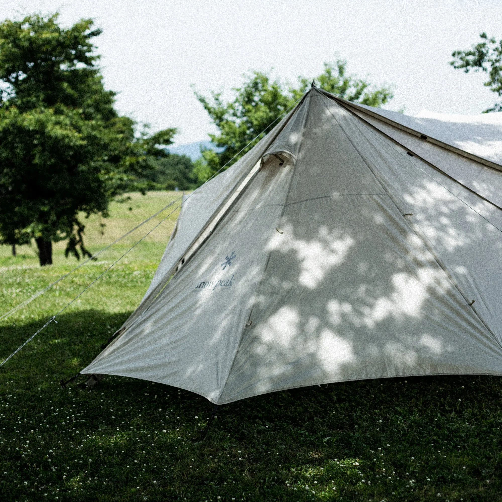 Land Station Ivory