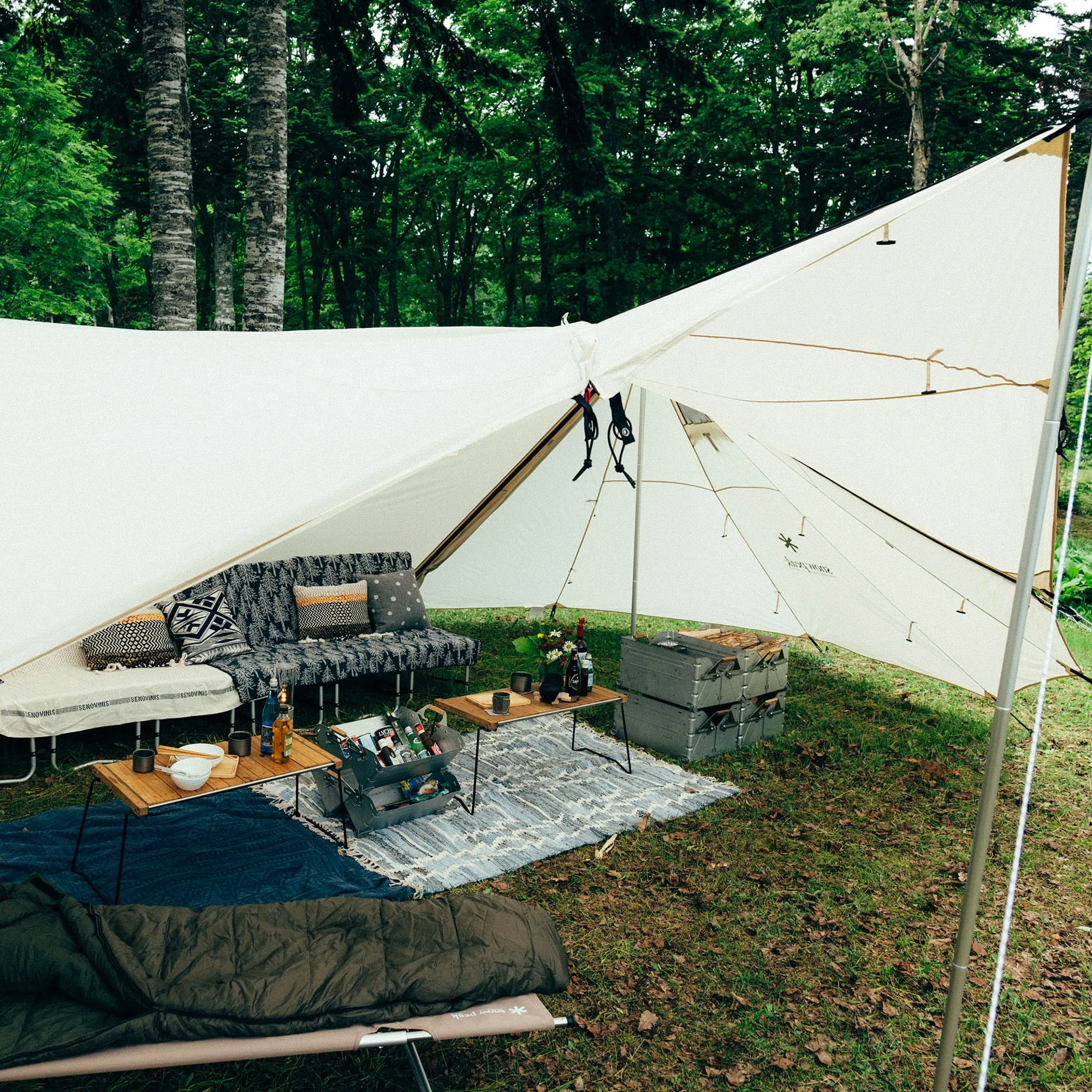 Land Station Ivory