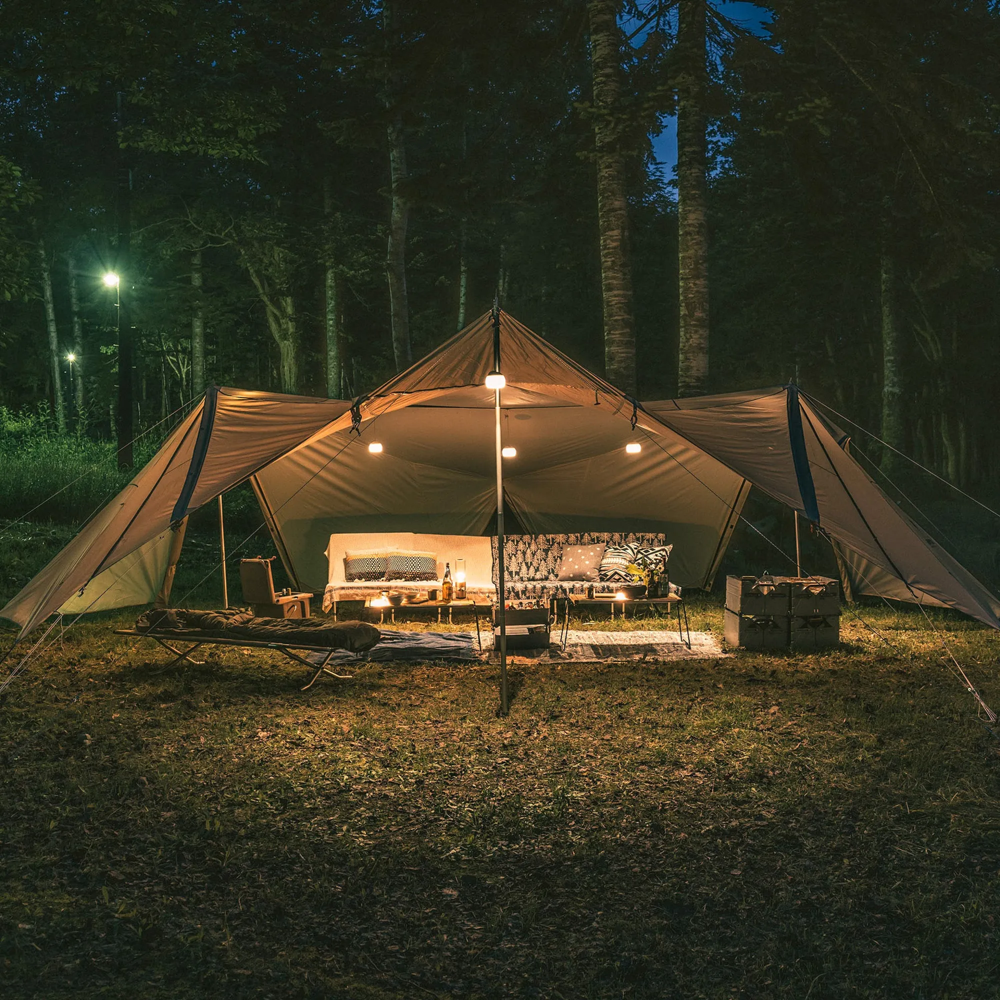 Land Station Ivory