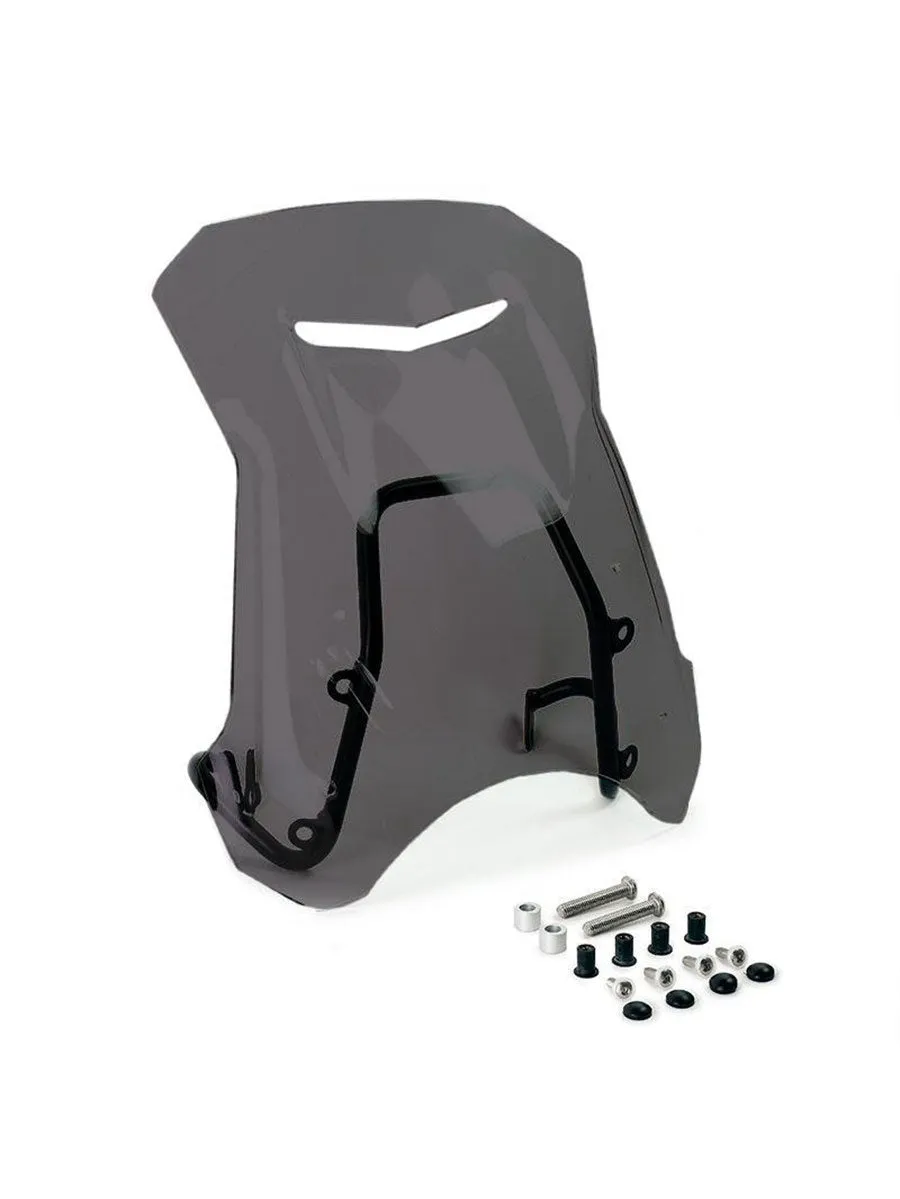 UNIT Garage Windshield with GPS support for BMW R NineT Roadster